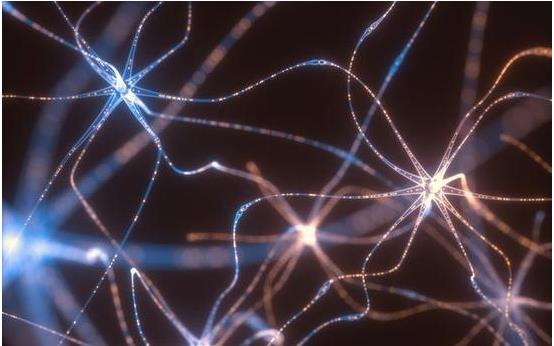 脑电波之谜困惑科学家百年,最新研究称其很重要